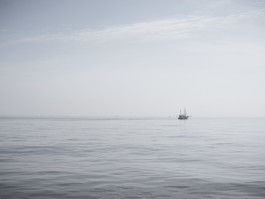 lukas zander photography