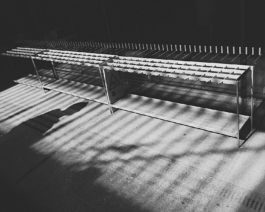 lukas zander photography