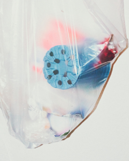 lukas zander photography