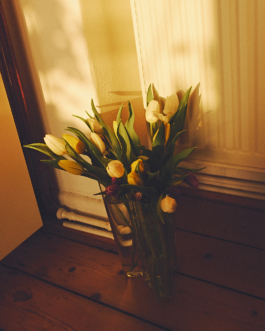 lukas zander photography