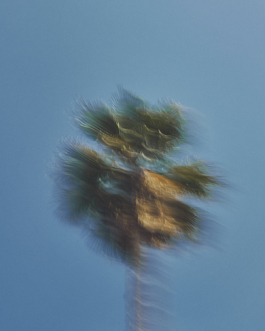 lukas zander photography