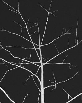 lukas zander photography