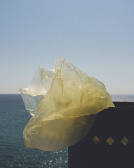 lukas zander photography