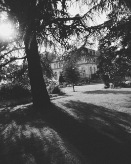 lukas zander photography