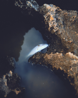 lukas zander photography
